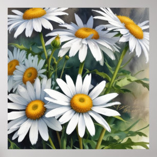 Poster Bouquet de fleurs élégant aquarelle de pâquerettes