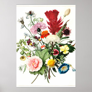 Poster Bouquet de fleurs Illustration vintage