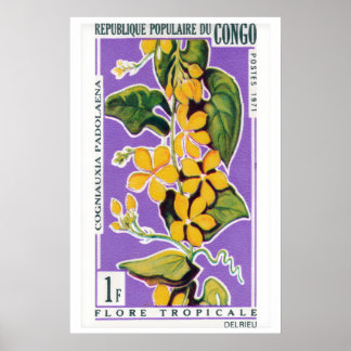 Poster Bouquet de fleurs jaunes - Art vintage du Congo -