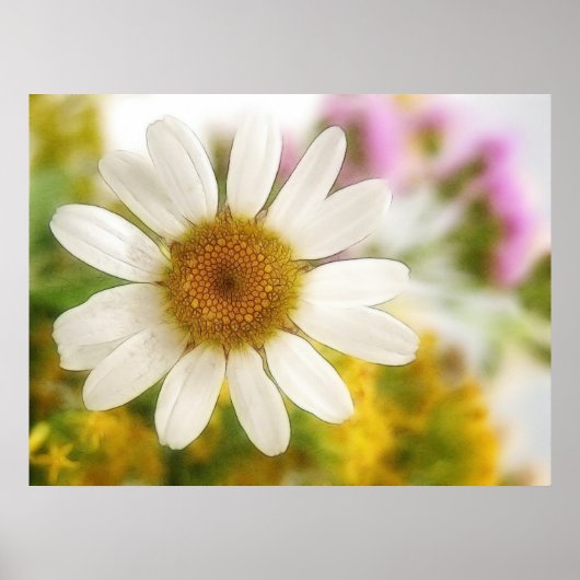 Poster Bouquet de fleurs - Marguerite blanche (Devant)