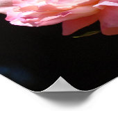 Poster Bouquet de fleurs rose estampes florales (Coin)