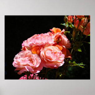 Poster Bouquet de fleurs rose estampes florales