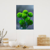Poster Bouquet de Fleurs Santini Chrysanthème Vert (Cuisine)