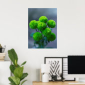 Poster Bouquet de Fleurs Santini Chrysanthème Vert (Bureau à domicile)
