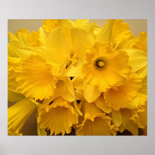 Poster Bouquet de jonquilles (Devant)