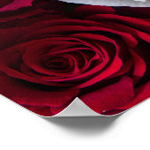 POSTER BOUQUET DE ROSES (Coin)