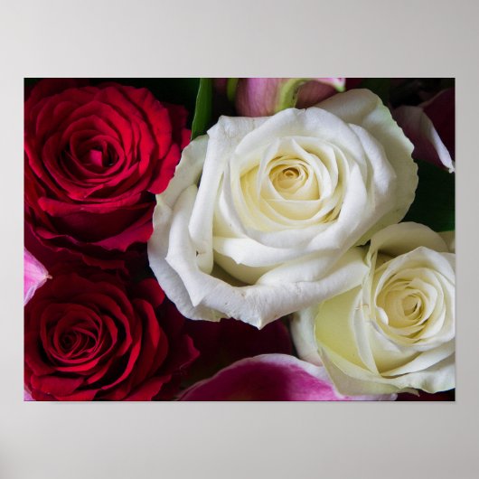 POSTER BOUQUET DE ROSES (Devant)
