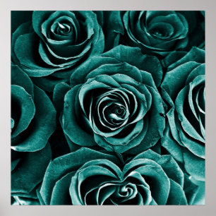 Poster Bouquet de roses en Turquoise