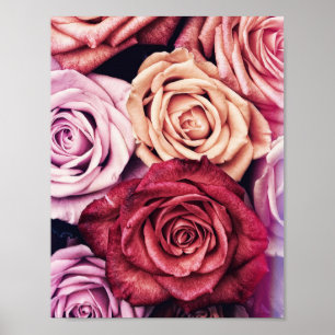 Poster Bouquet de roses roses