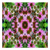 Poster Bouquet d'Echanicea... (Devant)