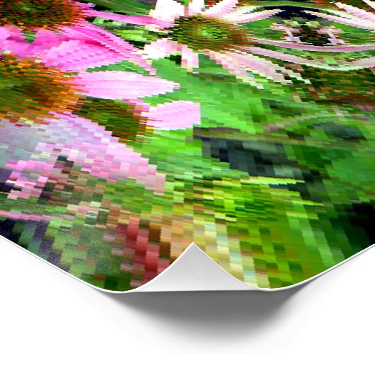 Poster Bouquet d'Echanicea... (Coin)