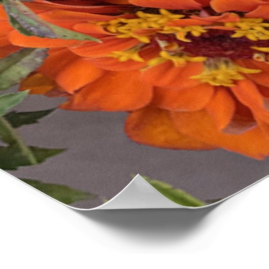 Poster Bouquet d'été coloré (Coin)