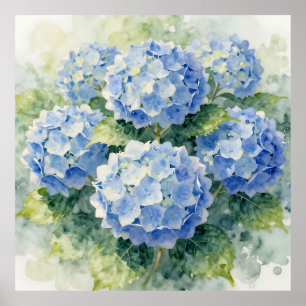 Poster Bouquet d'hortensias bleu à l'aquarelle