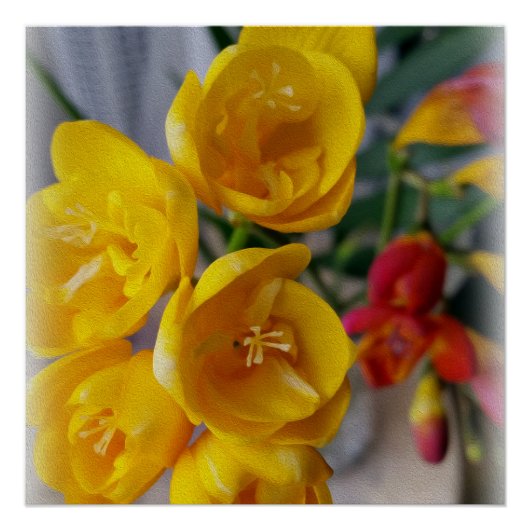 Poster bouquet freesias (Devant)