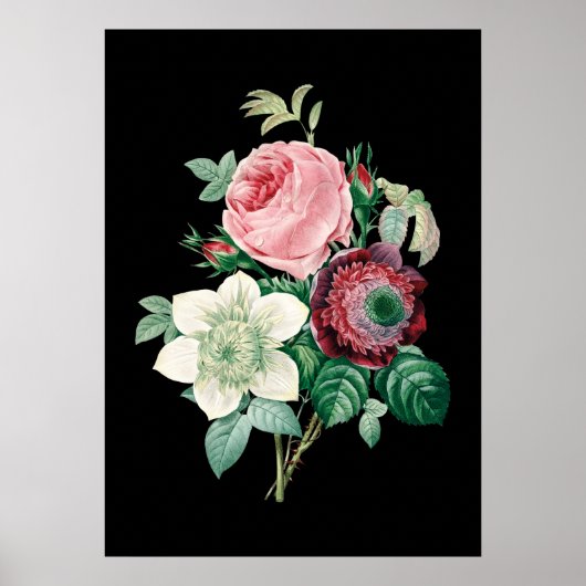 Poster Bouquet rose arrière - plan noir de Redoute imprim (Devant)