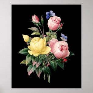 Poster Bouquet rose Redoute noir dramatique arrière - pla