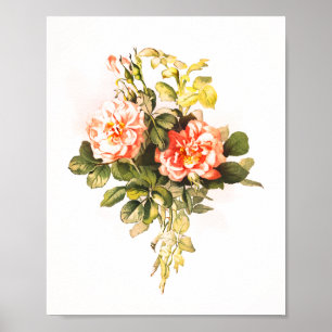 Poster Bouquet rose Vintage Floral