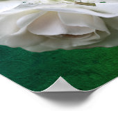Poster Bouquet Roses Blanches Avec Raindrops (Coin)