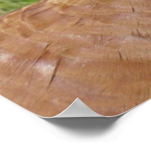 Poster Bourbon Red Turkey (Coin)