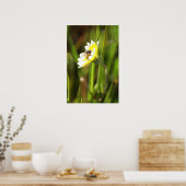 Poster "Bourdon" (Cuisine)