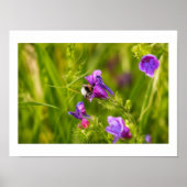 Poster Bourdon en fleurs (Devant)
