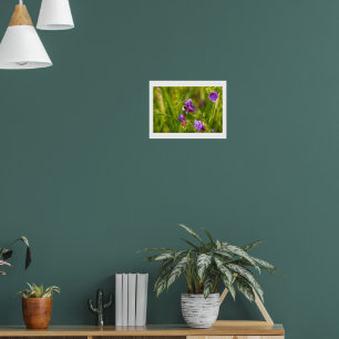 Poster Bourdon en fleurs - Photographie de nature et d'in