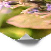 Poster Bourdon sur fleur violette en gros plan (Coin)