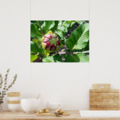 Poster bourgeon d'automne (Cuisine)