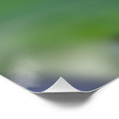 Poster bourgeon de pivoine (Coin)