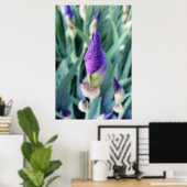 Poster bourgeon d'iris pourpre (Bureau à domicile)
