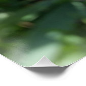 Poster bourgeon d'iris pourpre (Coin)