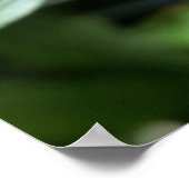 Poster bourgeon rose profond (Coin)