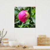 Poster bourgeon rose profond (Cuisine)