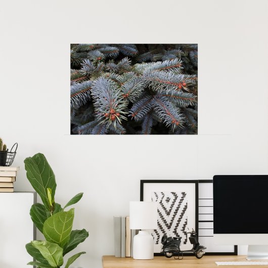 Poster bourgeons de sapin (Bureau à domicile)