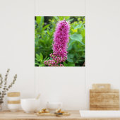 Poster bourgeons roses (Cuisine)