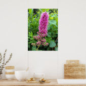 Poster bourgeons roses (Cuisine)