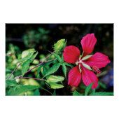 Poster Bourgogne Élégance : La chanson de l'amour de la n (Devant)