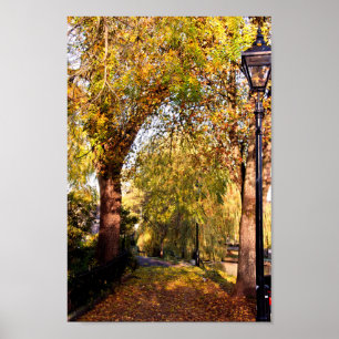 Poster Bourton sur l'eau Autumn Trees Cotswolds UK