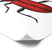 Poster Bousier rouge (Coin)