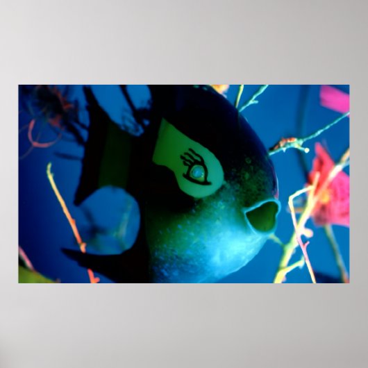 Poster Bouteille Poisson JGibney Le Musée Zazzle Bannière (Devant)