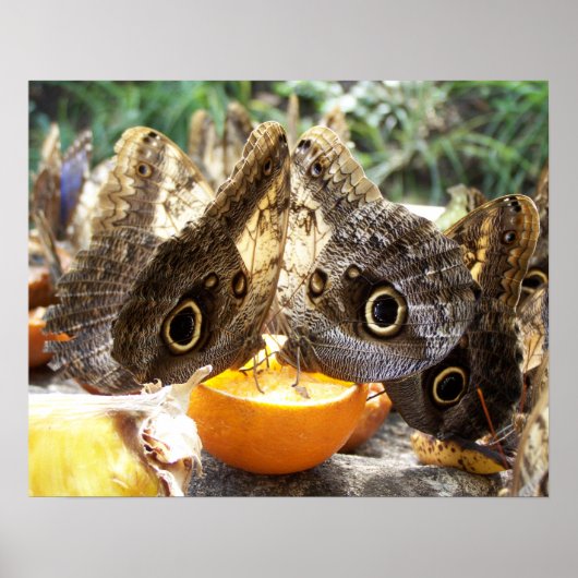 POSTER BOUTEILLES (Devant)