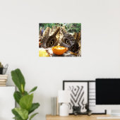 POSTER BOUTEILLES (Bureau à domicile)