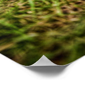 Poster Boutique Lowmaster (Coin)