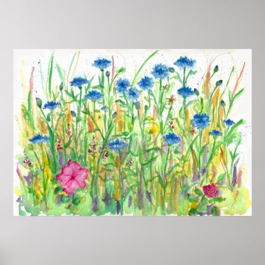 Poster Bouton bleu Bachelor Cornflower Aquarelle Art (Devant)