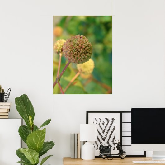 Poster Bouton Bush #2 (Bureau à domicile)