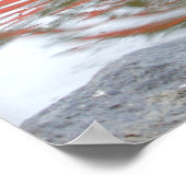 Poster Bouton de canard (Coin)