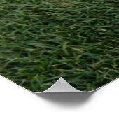 Poster Bouton de crosse sur herbe (Coin)