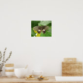 Poster Bouton d'impression à bec écarlate (Cuisine)