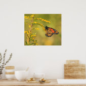 Poster Bouton d'or de monarque (Cuisine)