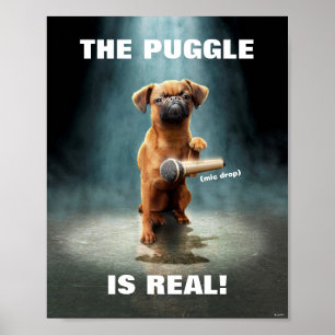 Poster Bouton Puggle